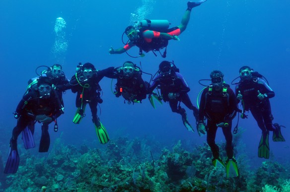 aqualangos 1 (shakers e abadá em evidencia)